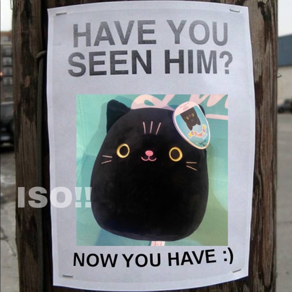 ISO jamal / black cat squishmallow from hot topic